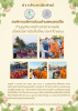 โครงการตักบาตรข้าวสารอาหารแห้ง ประจำปีงบประมาณ พ.ศ. 2568